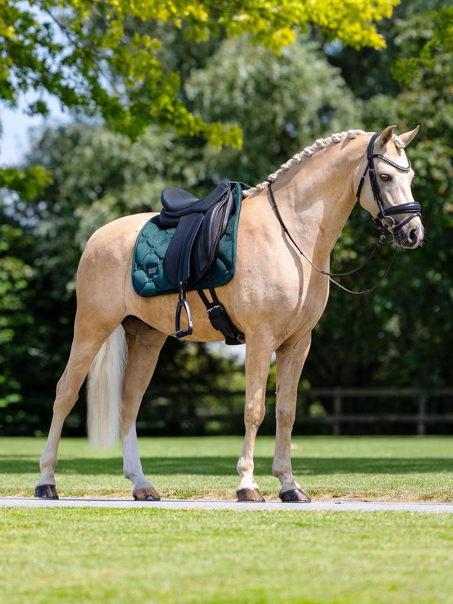 Dressage Saddle Pad Velvet Sycamore Green