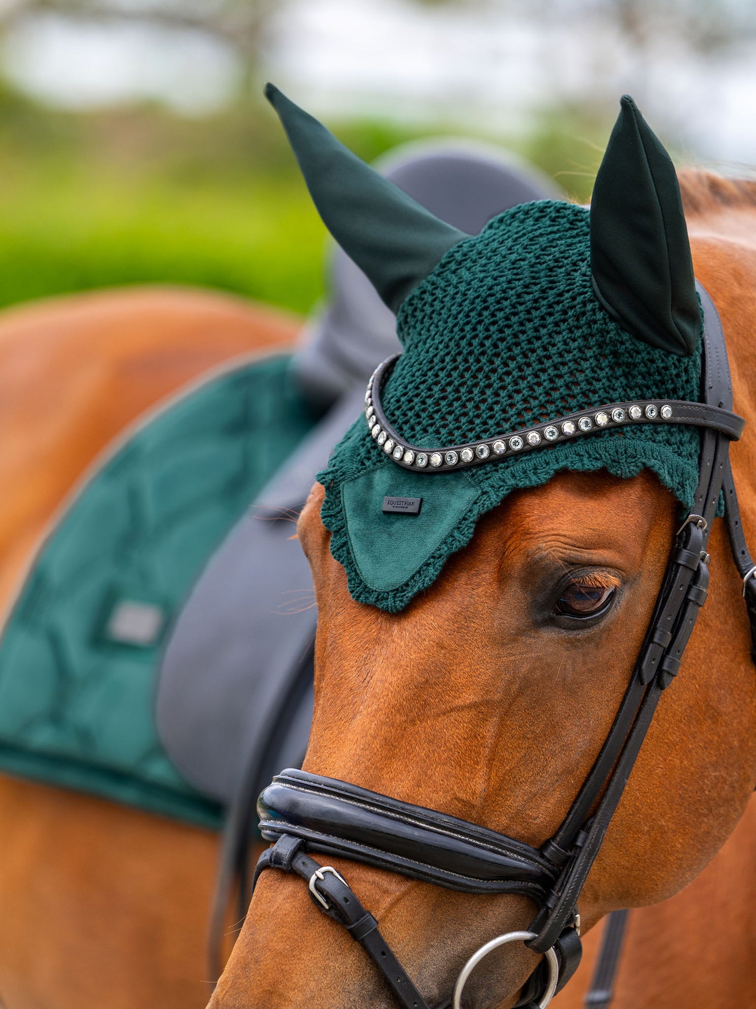 Bonnet de cheval Velvet Sycamore Green