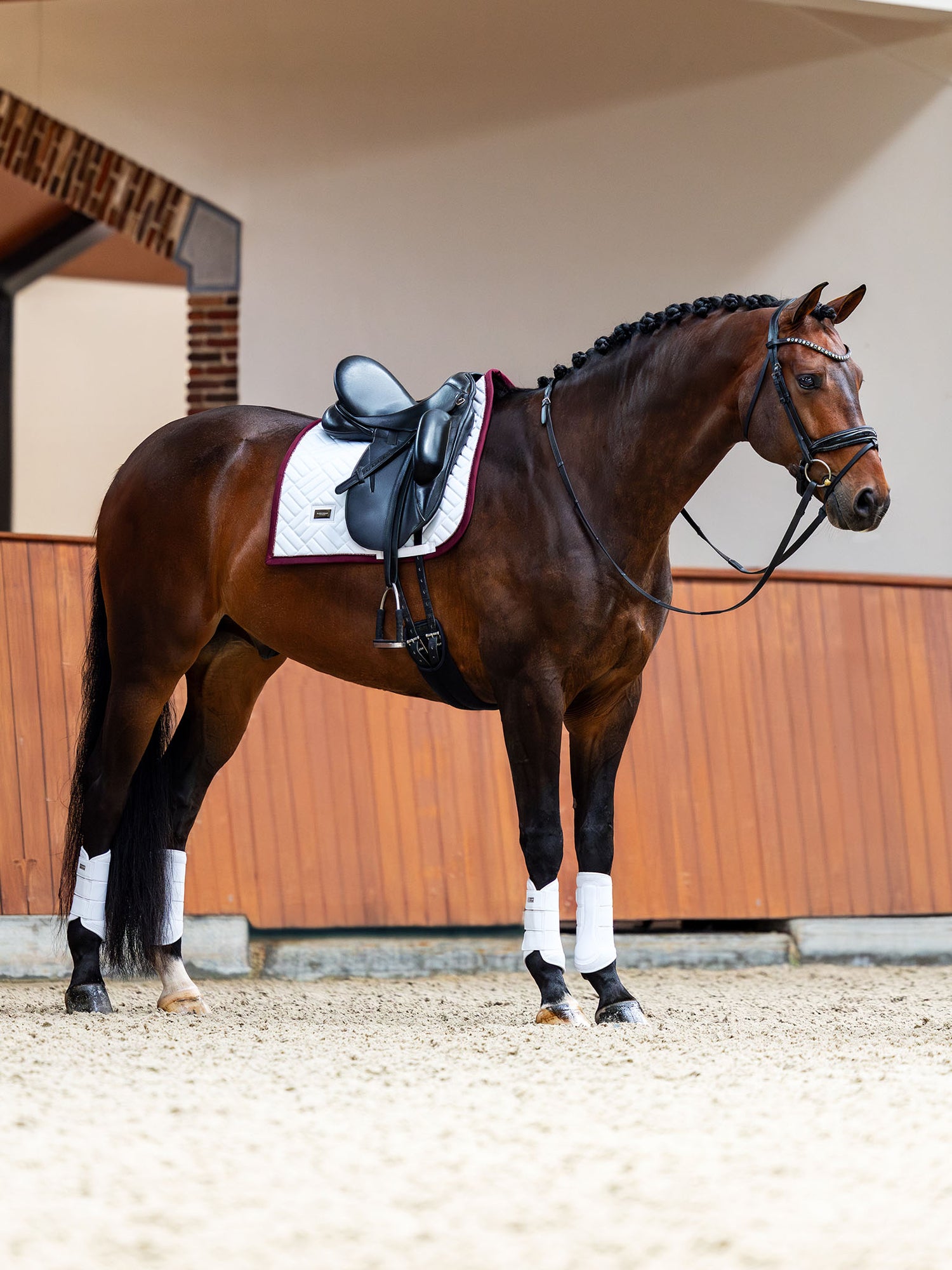 Tapis de Dressage Modern White Merlot