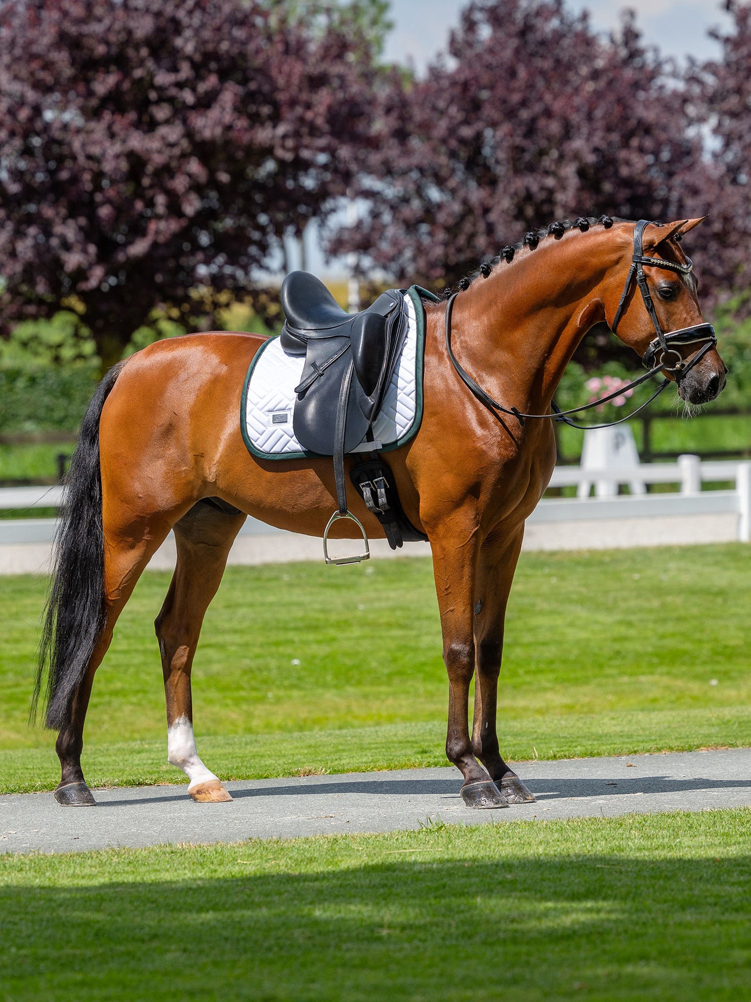 Tapis de Dressage Modern White Sycamore Green