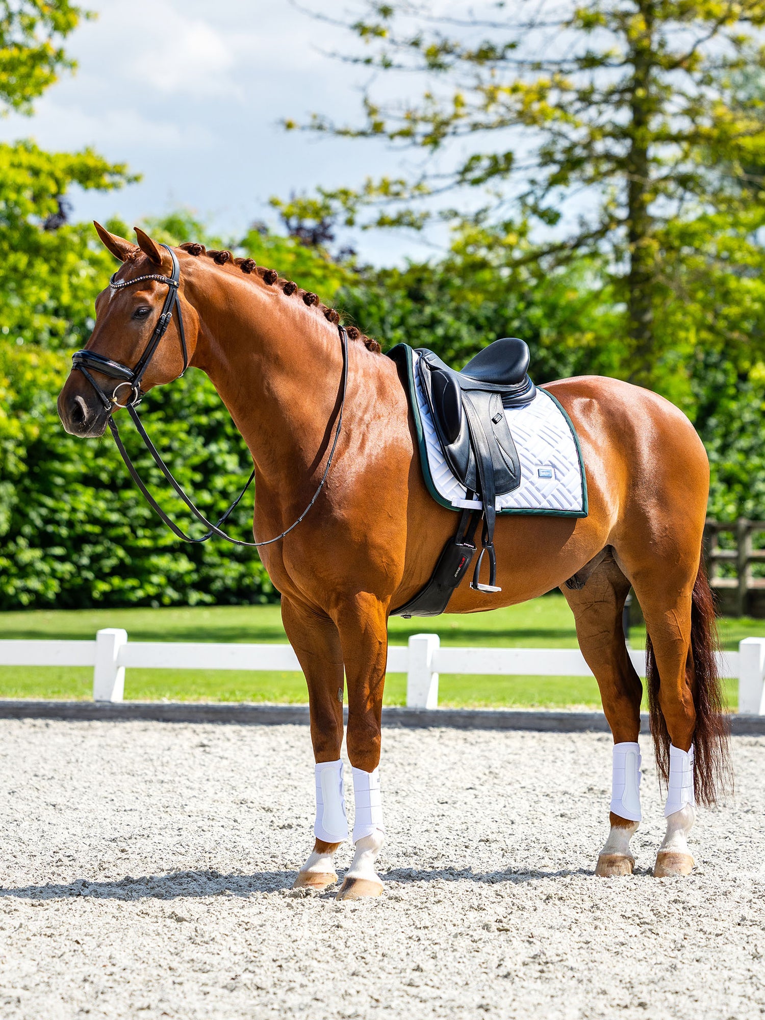 Tapis de Dressage Modern White Sycamore Green