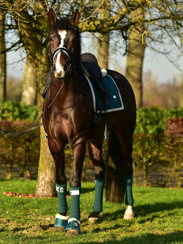 EQUESTRIAN STOCKHOLM・ワンコセット/3色 Polo Wraps Emerald Amazonite | Equestrian Stockholm