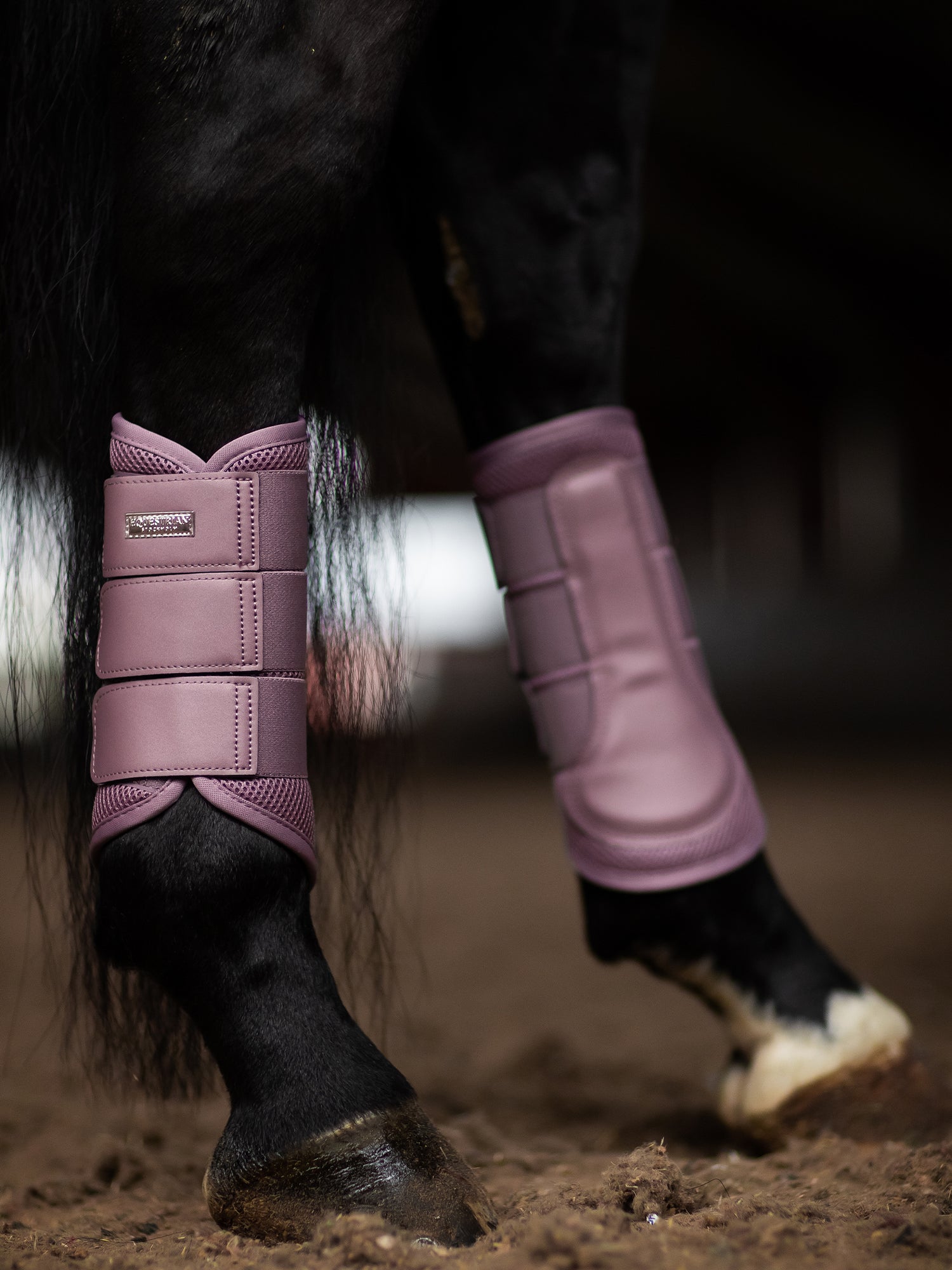 Mesh Brushing Boots Anemone