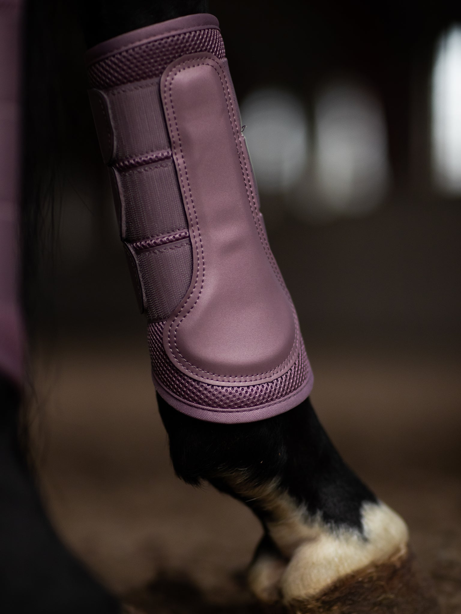 Mesh Brushing Boots Anemone | Equestrian Stockholm