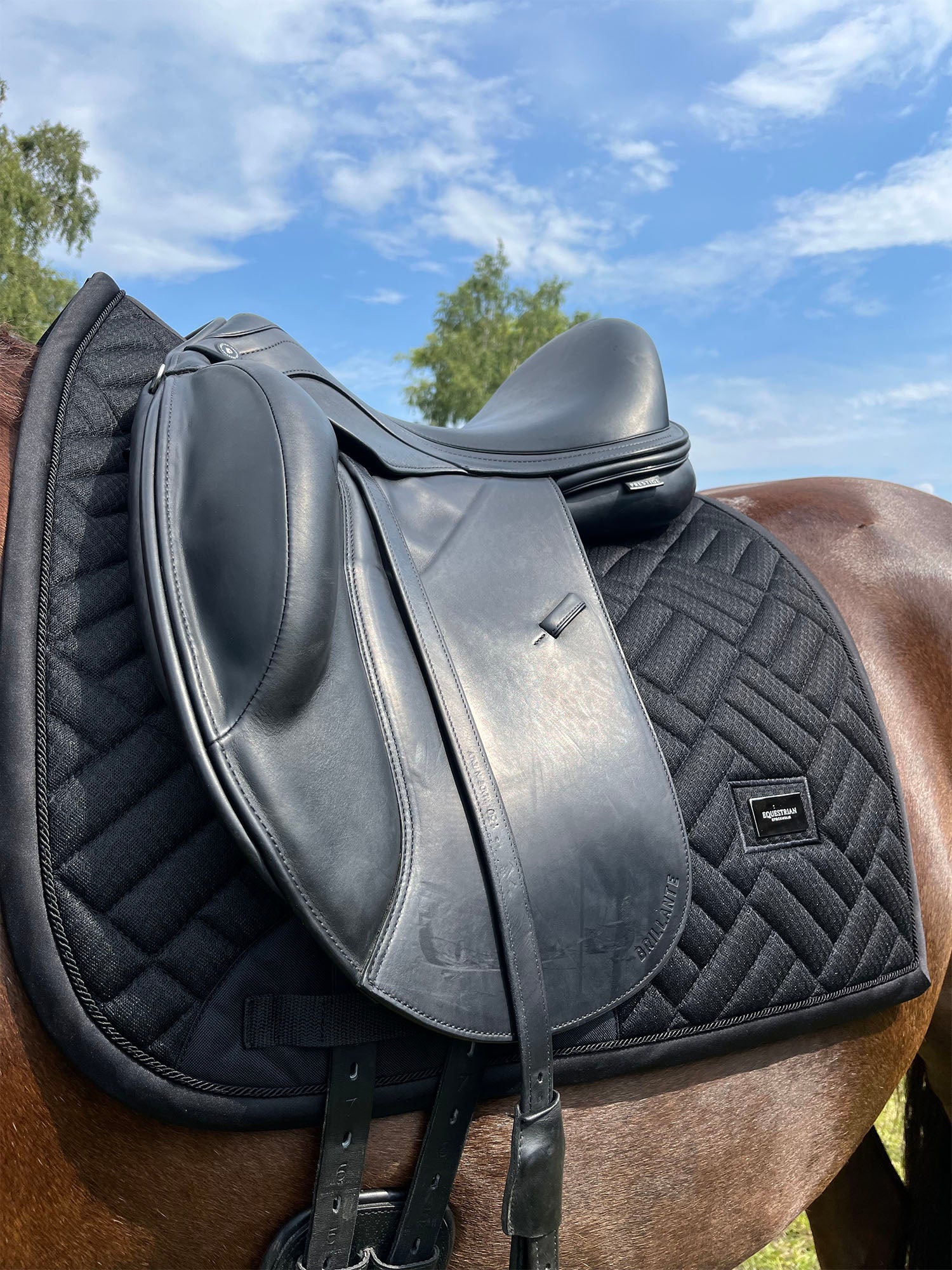 Dressage Saddle Pad Modern Mesh Black