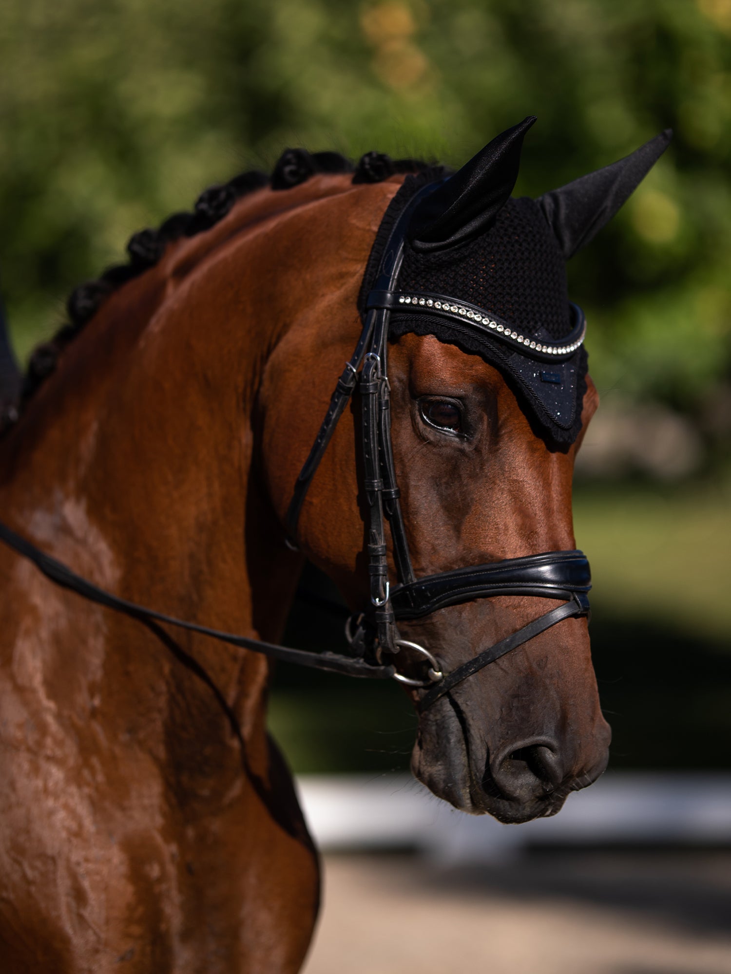 Fliegenhaube All Black Glimmer