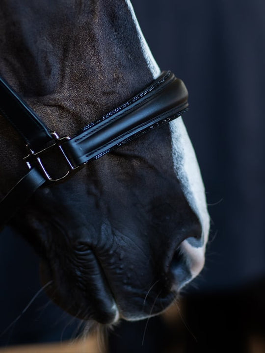 Leather Halter (Black) main image 1