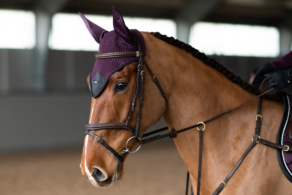 Fliegenhaube Black Raven