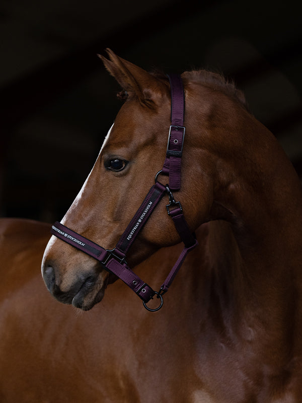 Clean Halter Black Raven