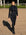Explore Jacke Black Edition