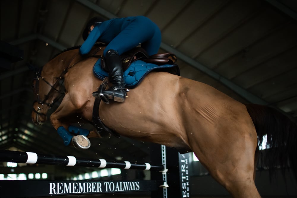 blue-meadow-jumping-saddle-pad-hoppschabrak-springschabrack-spring-zadeldekje-on1