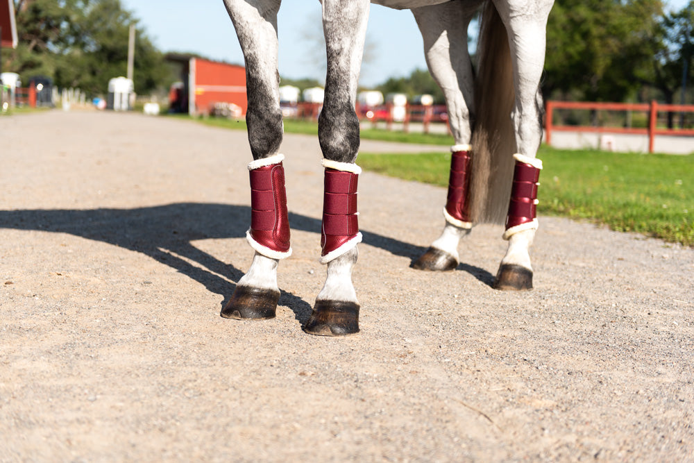 Chaussettes bordeaux Equestrian Stockholm - Sellerie
