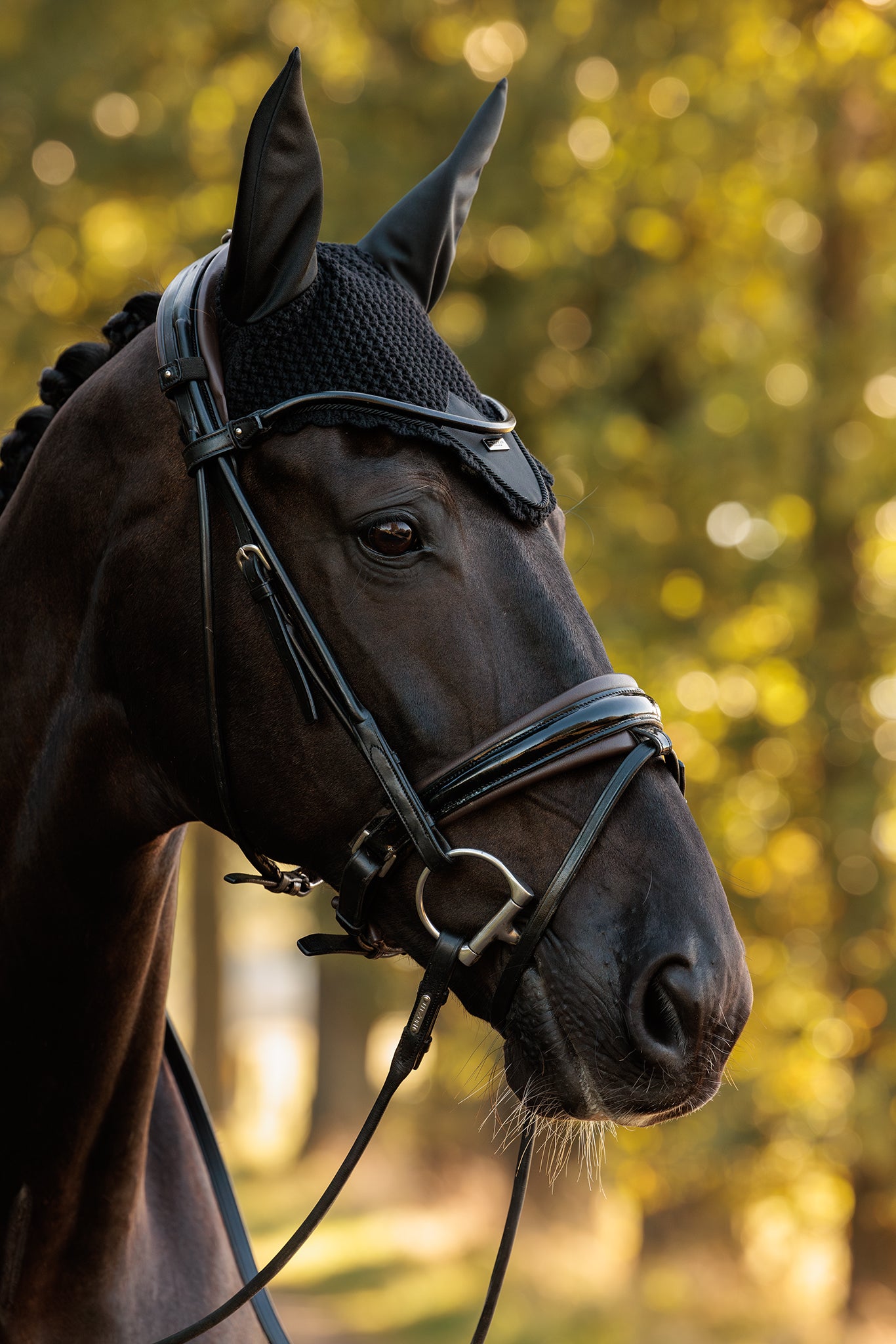 Padded Ear Bonnet Clean Brown