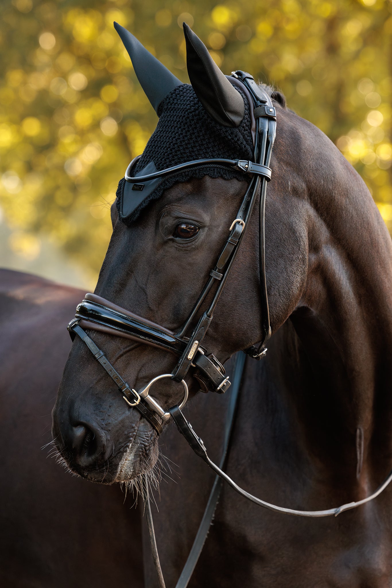 Padded Ear Bonnet Clean Brown