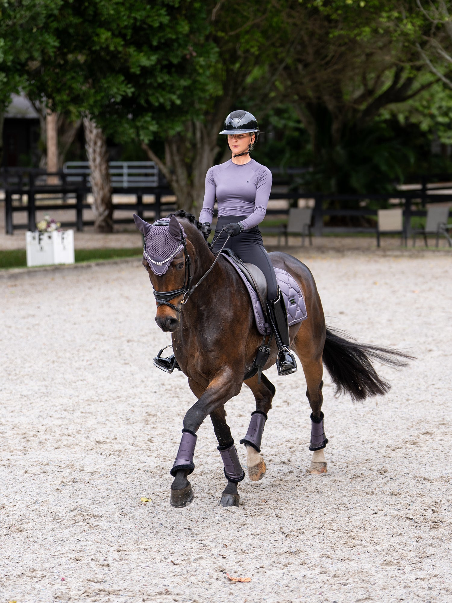Bonnet de cheval Dark Violet