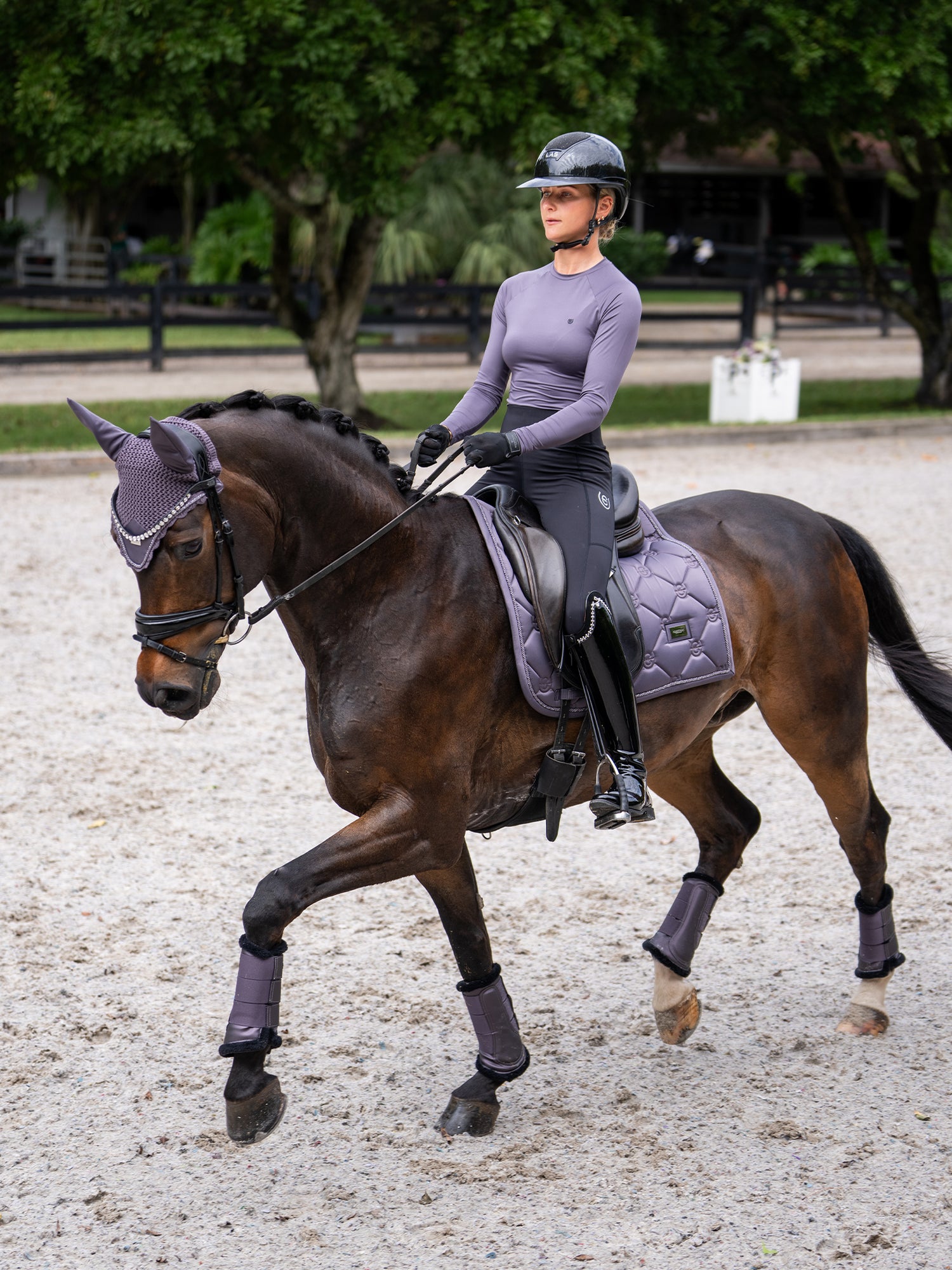Tapis de dressage Dark Violet