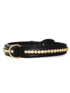 Dog Collar Champagne