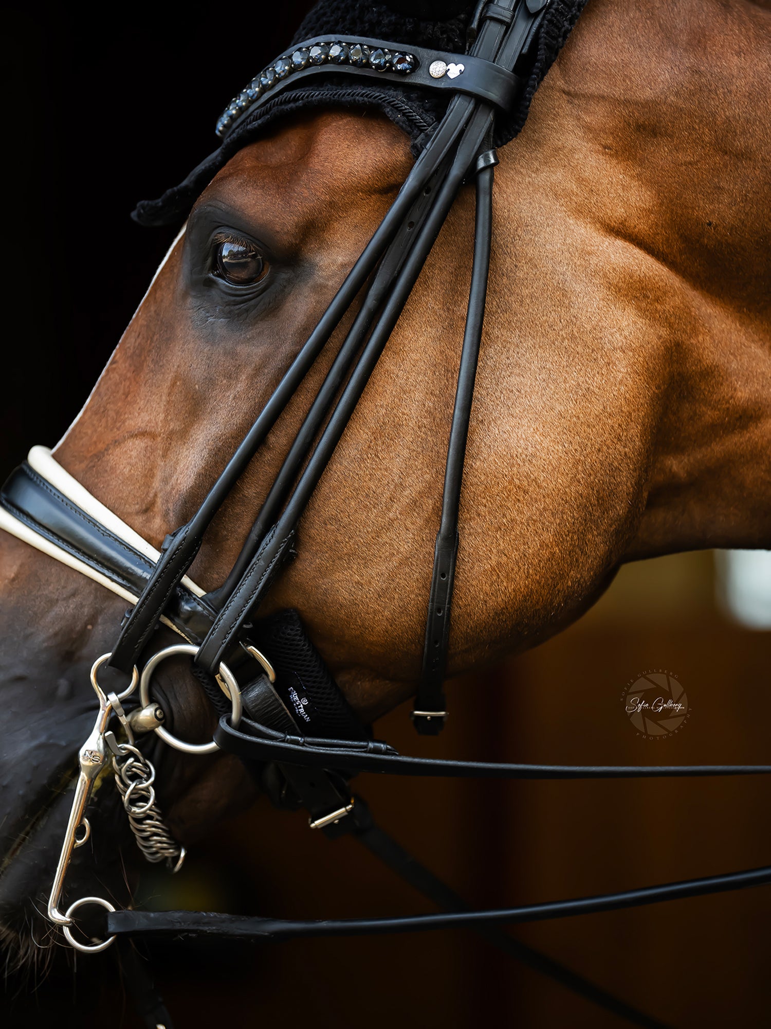 Chin Protector Black