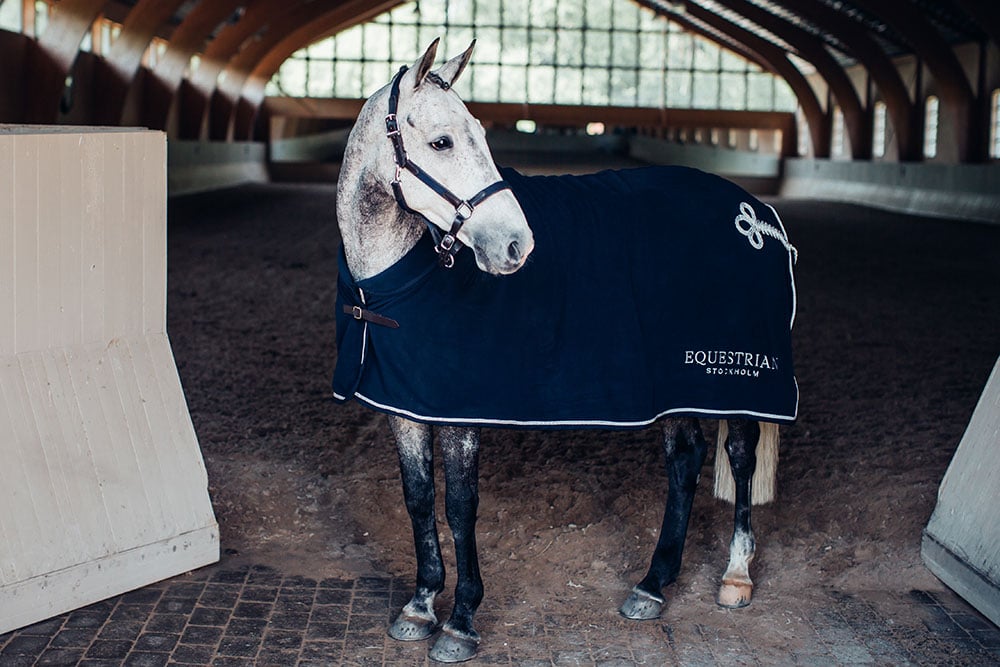 Leather Halter & Lead Chain Navy Silver | Equestrian Stockholm