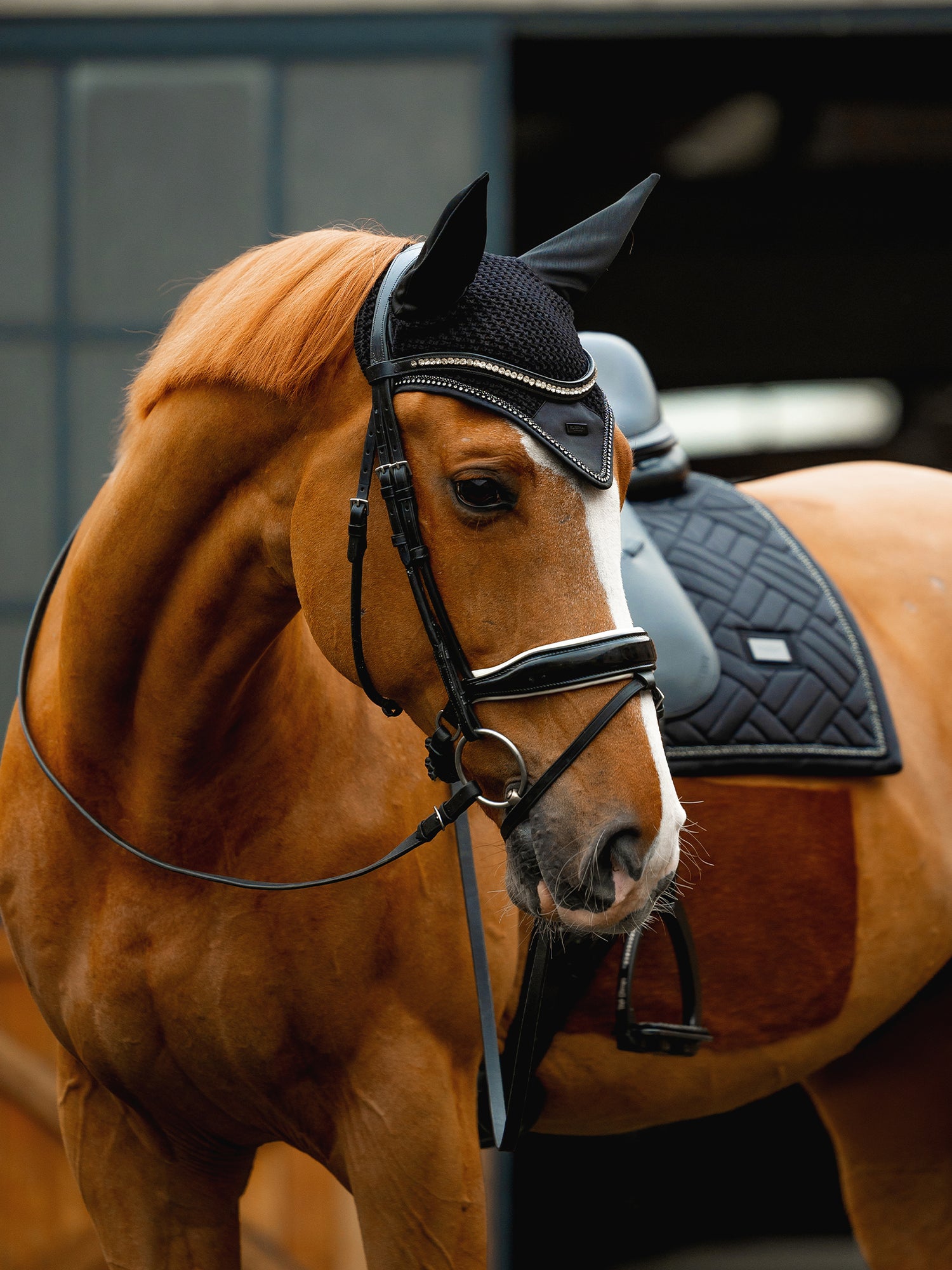 Ear Bonnet Modern Crystal Black