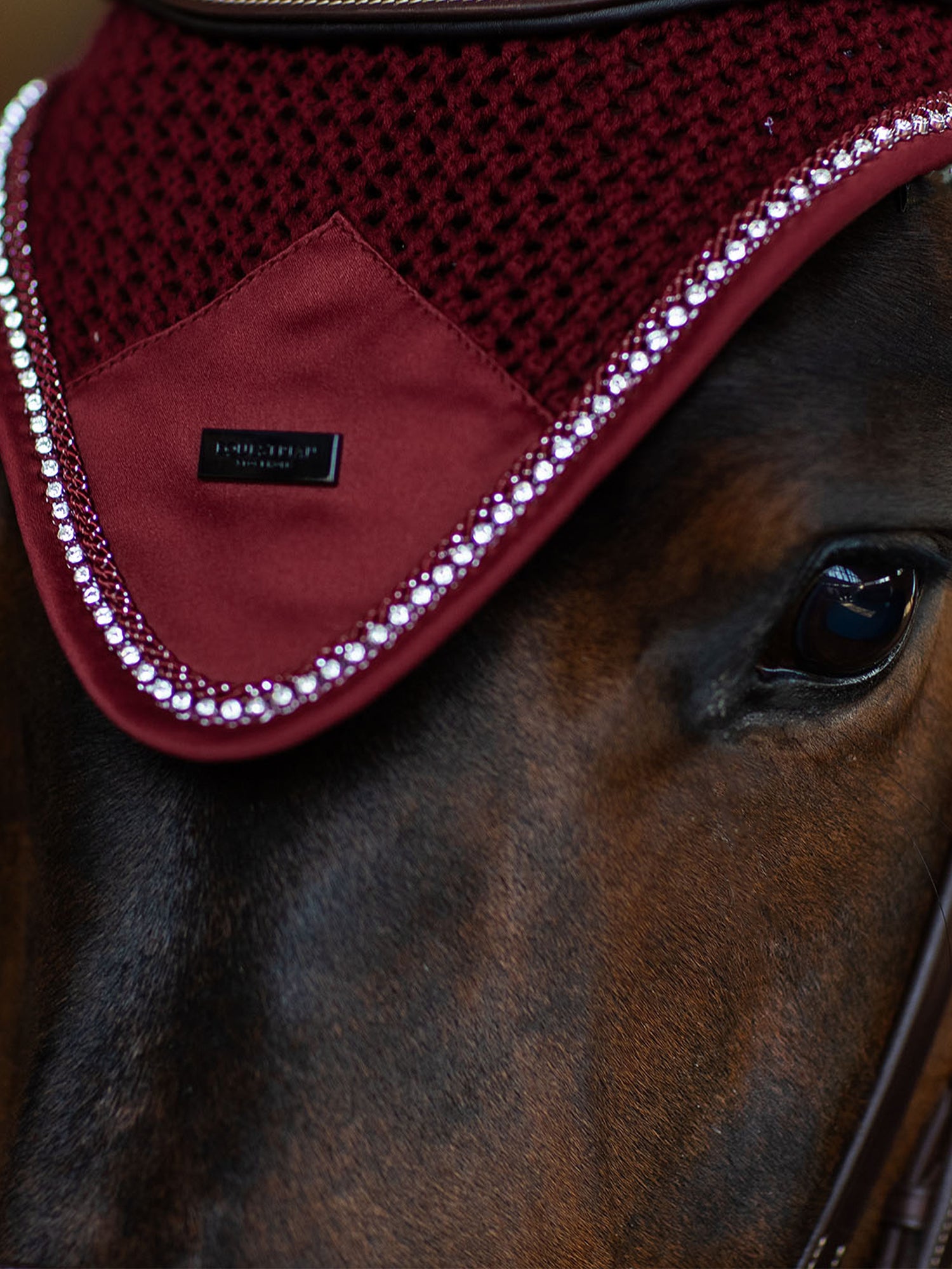 Ear Bonnet Modern Crystal Bordeaux