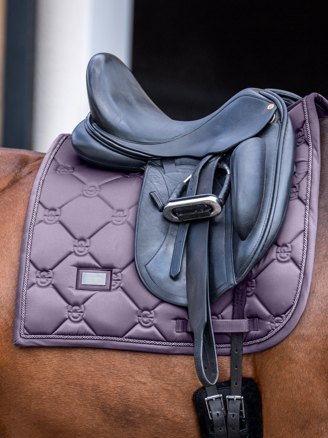 Top 25 Dressage Terms Explained – Rider's Glossary – Equestrian Stockholm