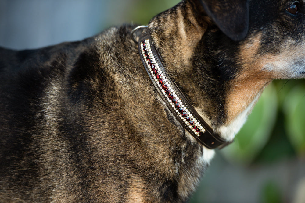 Dog Collar Bordeaux Crystal