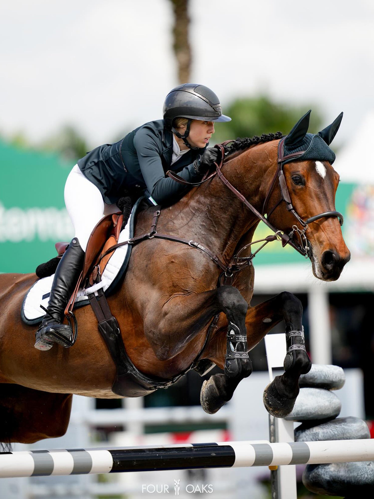 Select Competition Jacket Dramatic Monday – Equestrian Stockholm