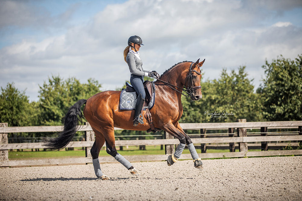 Dressage Saddle Pad Crystal Grey