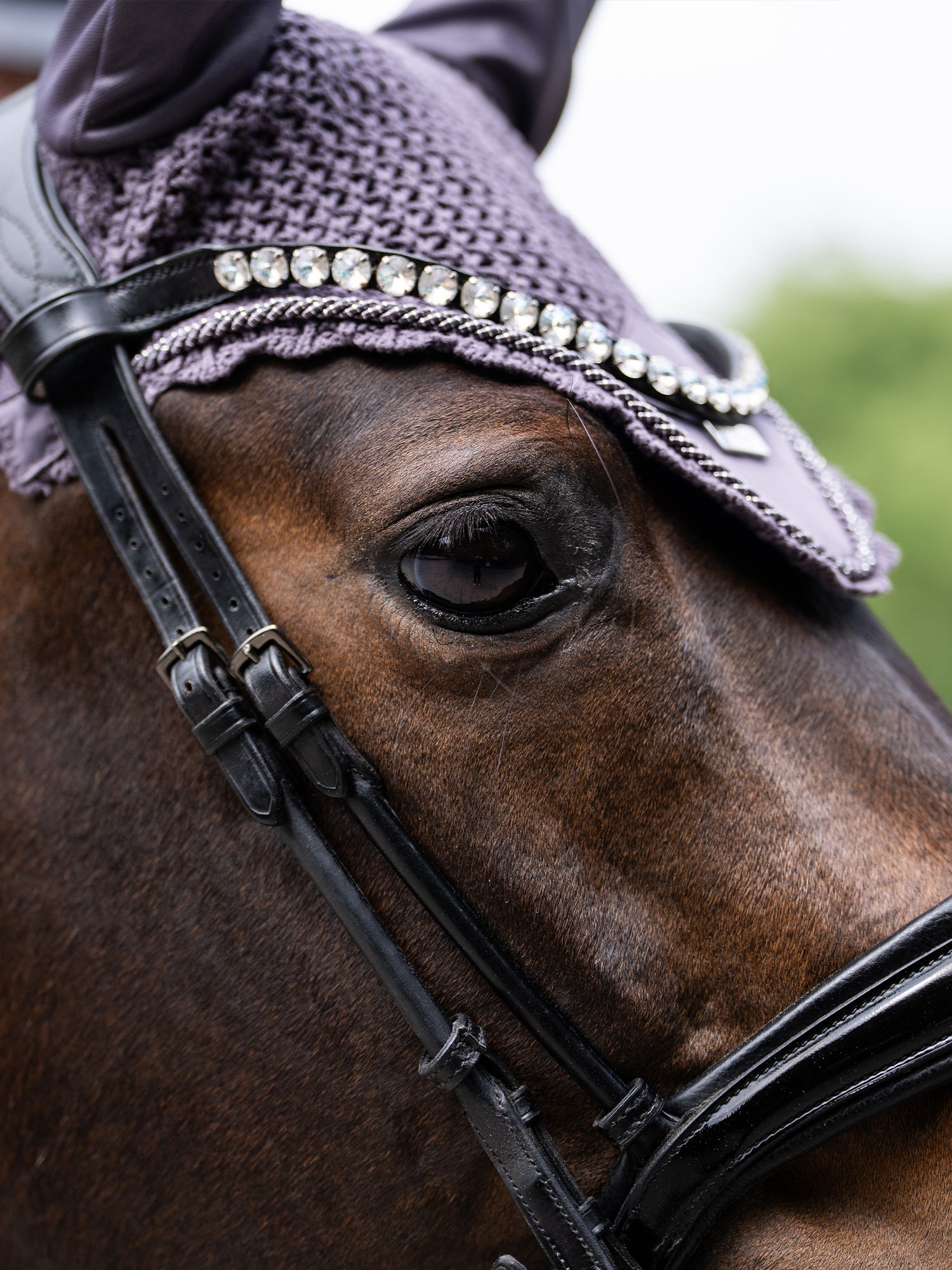 Bonnet de cheval Dark Violet
