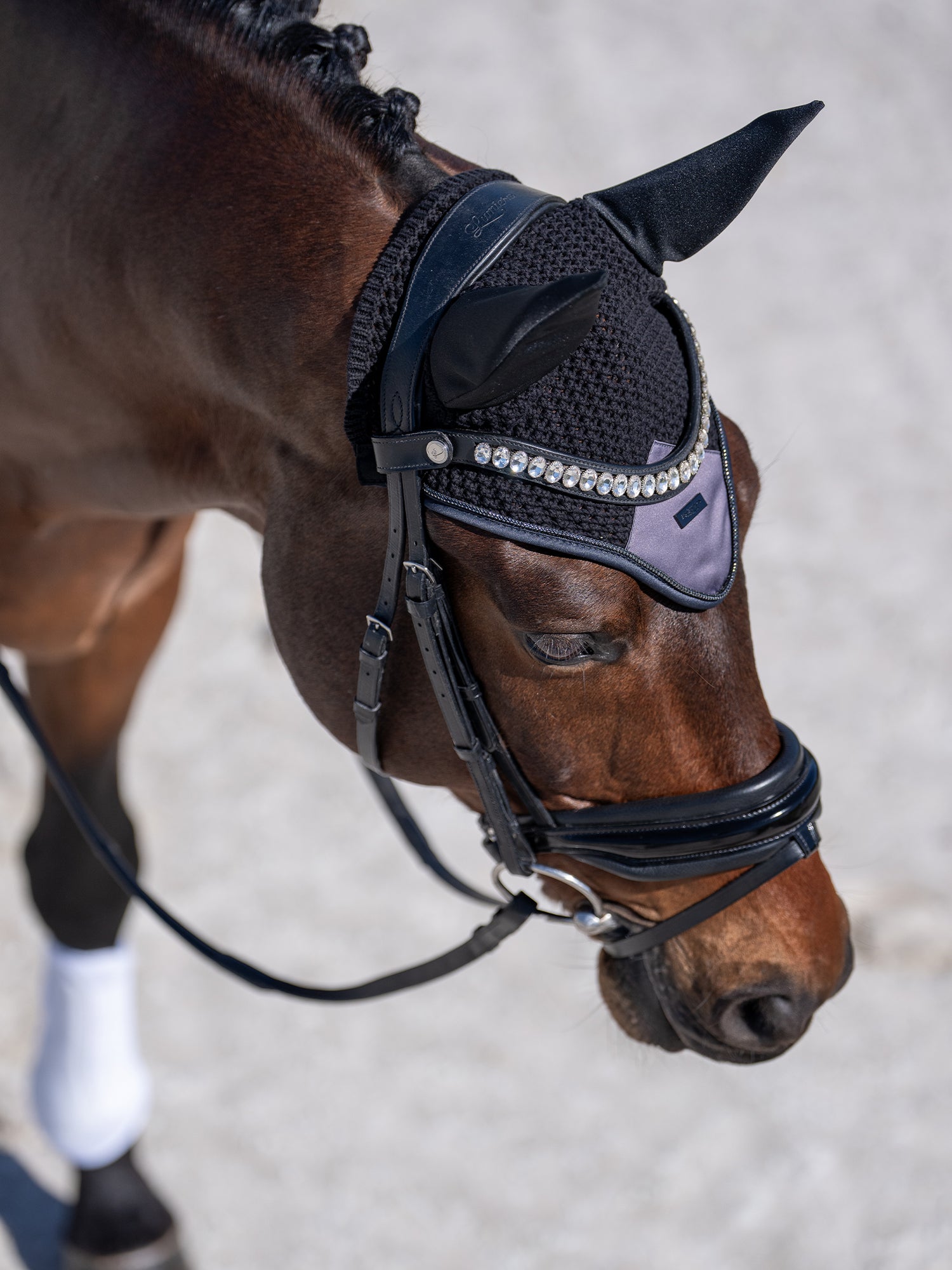 Soundless Fly Hood Modern Dark Violet