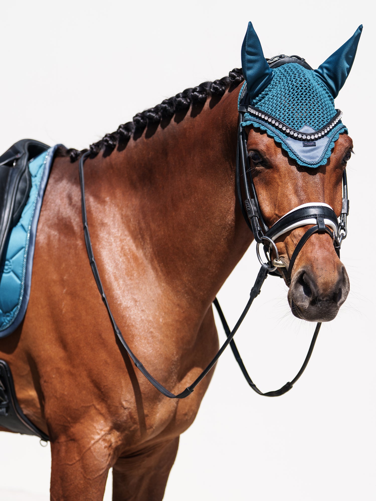 Bonnet de cheval Teal Blue