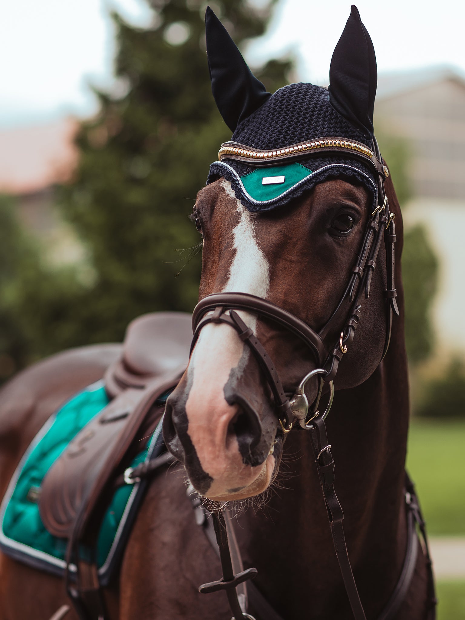 Jump Saddle Pad Emerald | Equestrian Stockholm