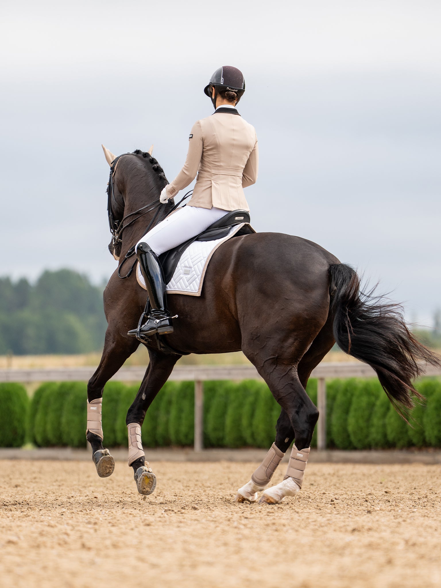 EQUESTRIAN STOCKHOLM・ワンコセット/3色 Dressage | Equestrian Stockholm