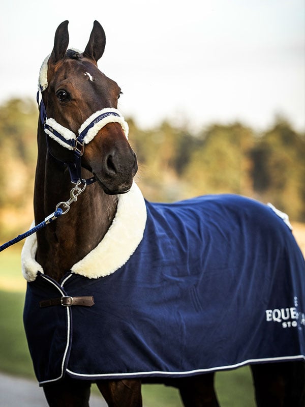 フック 様 thoroughbred navy Fur Halter & Lead Rope Navy | Equestrian Stockholm
