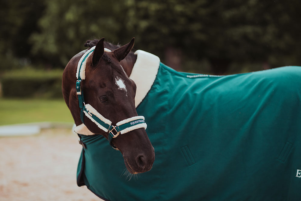 EQUESTRIAN STOCKHOLM・ワンコセット/3色 Fleece Blanket Fur Emerald | Equestrian Stockholm
