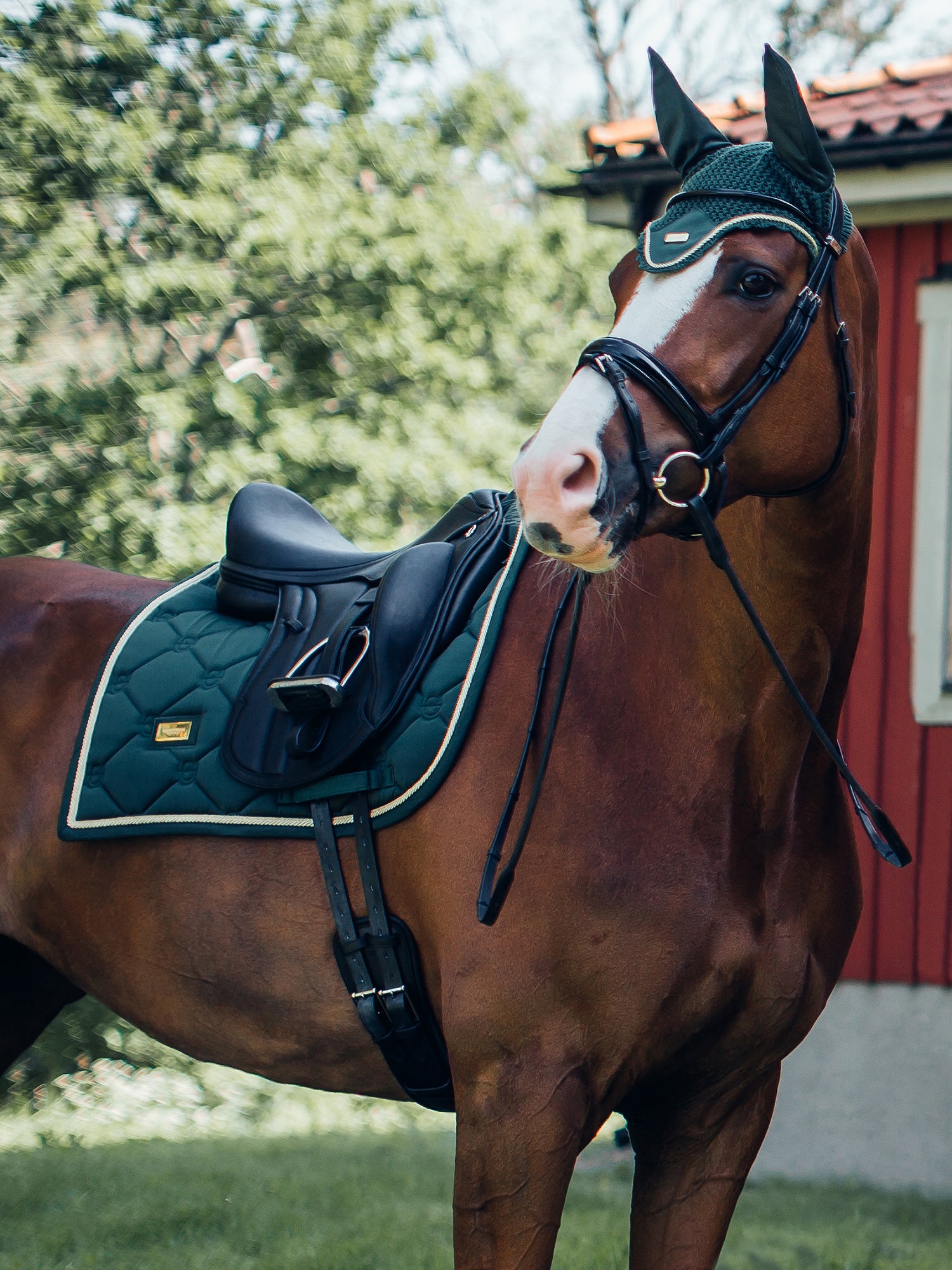 Dressage Saddle Pad Forest Green