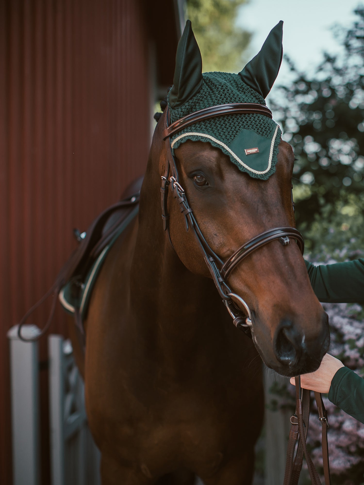 Ear Bonnet Forest Green