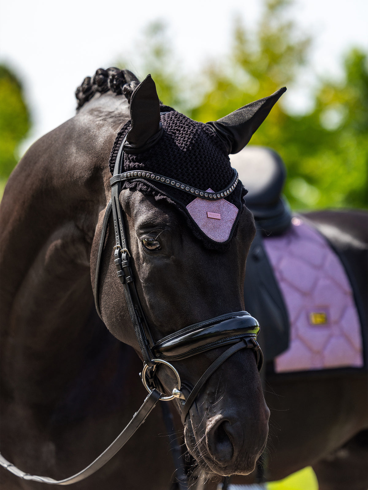 Cuffia Per Cavallo Pink Glimmer
