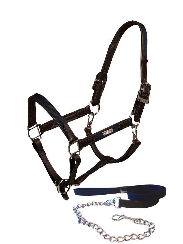 Leather Halter & Lead Chain Navy Silver