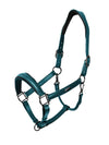Anatomisches Glimmer Leder Halfter Teal Blue