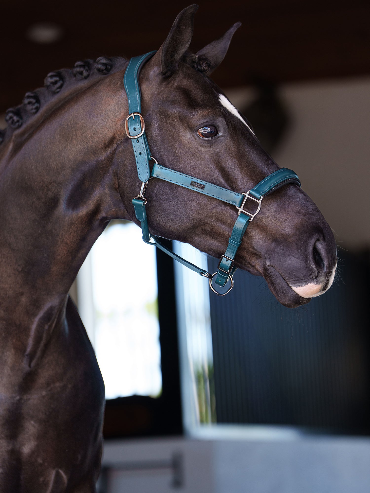 Anatomisches Glimmer Leder Halfter Teal Blue