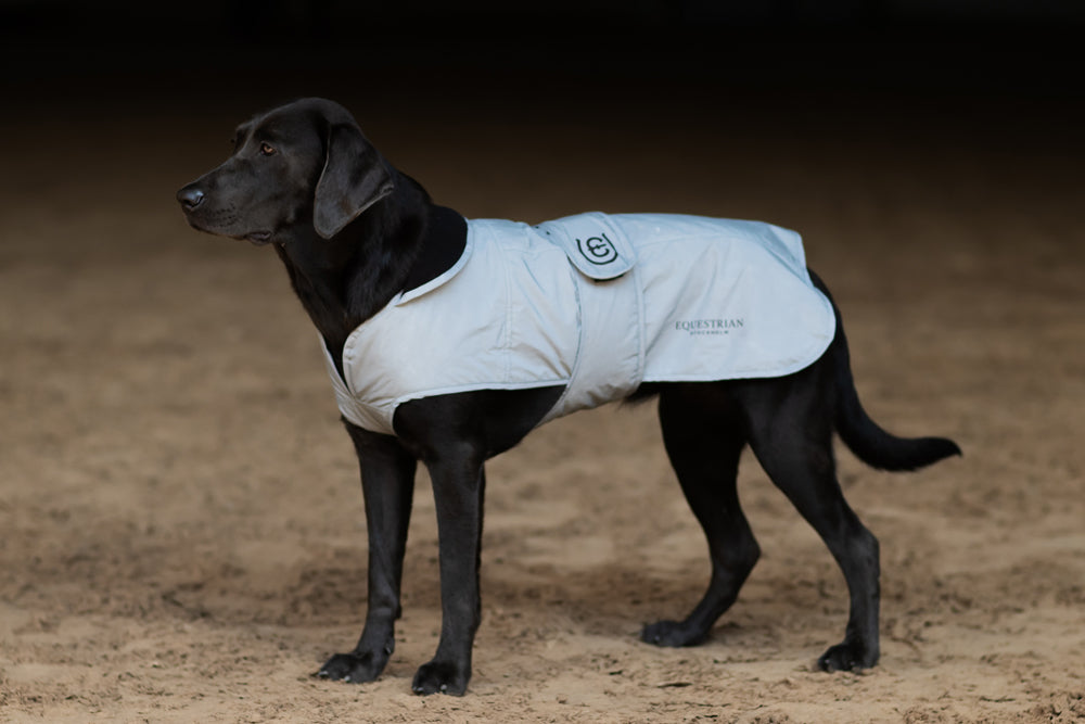 Reflective Dog Rug Luminous Black | Equestrian Stockholm