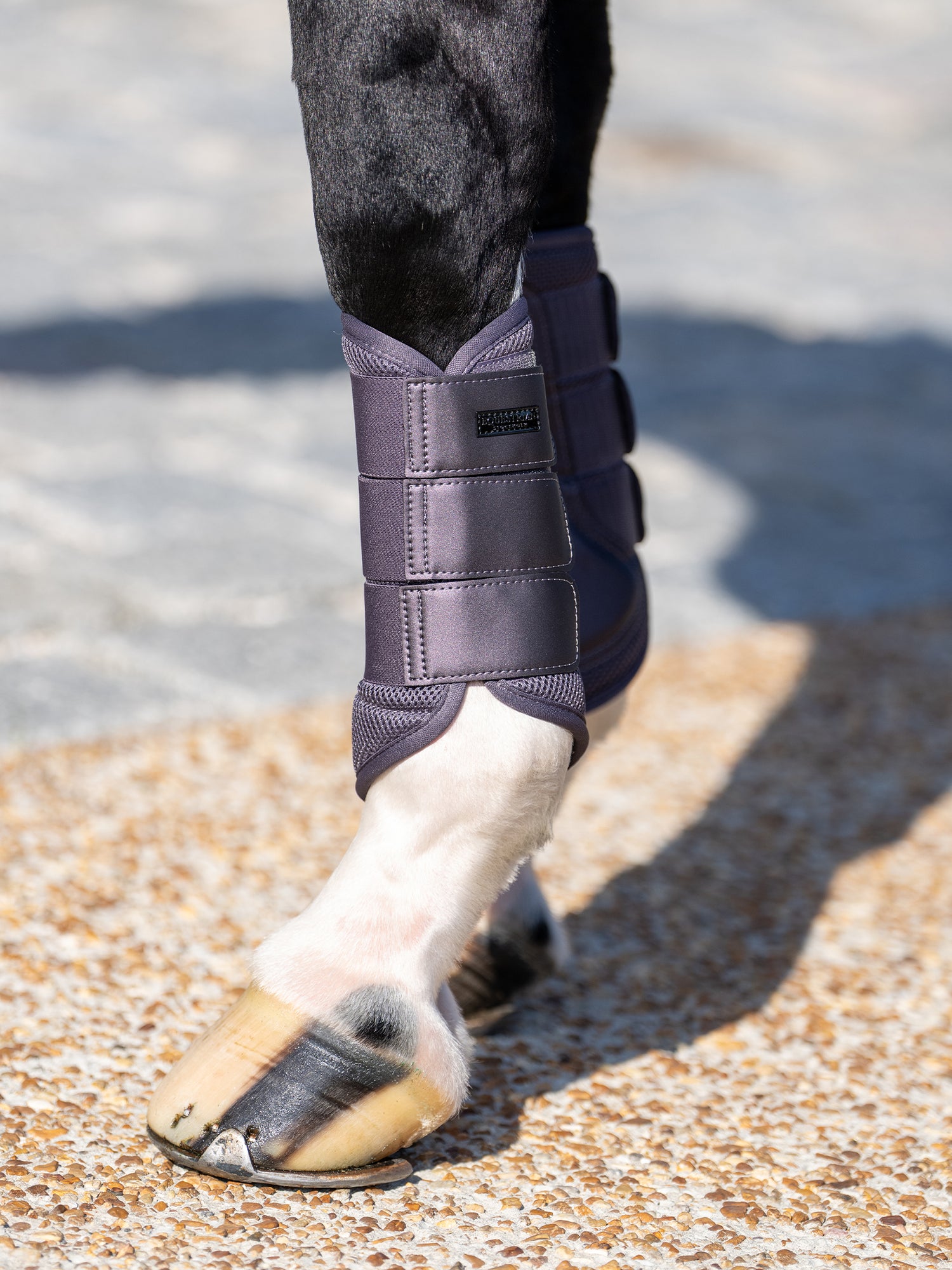 Mesh Brushing Boots Dark Violet