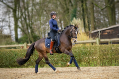 Rider and horse in Midnight Blue Dressage Saddle Pad