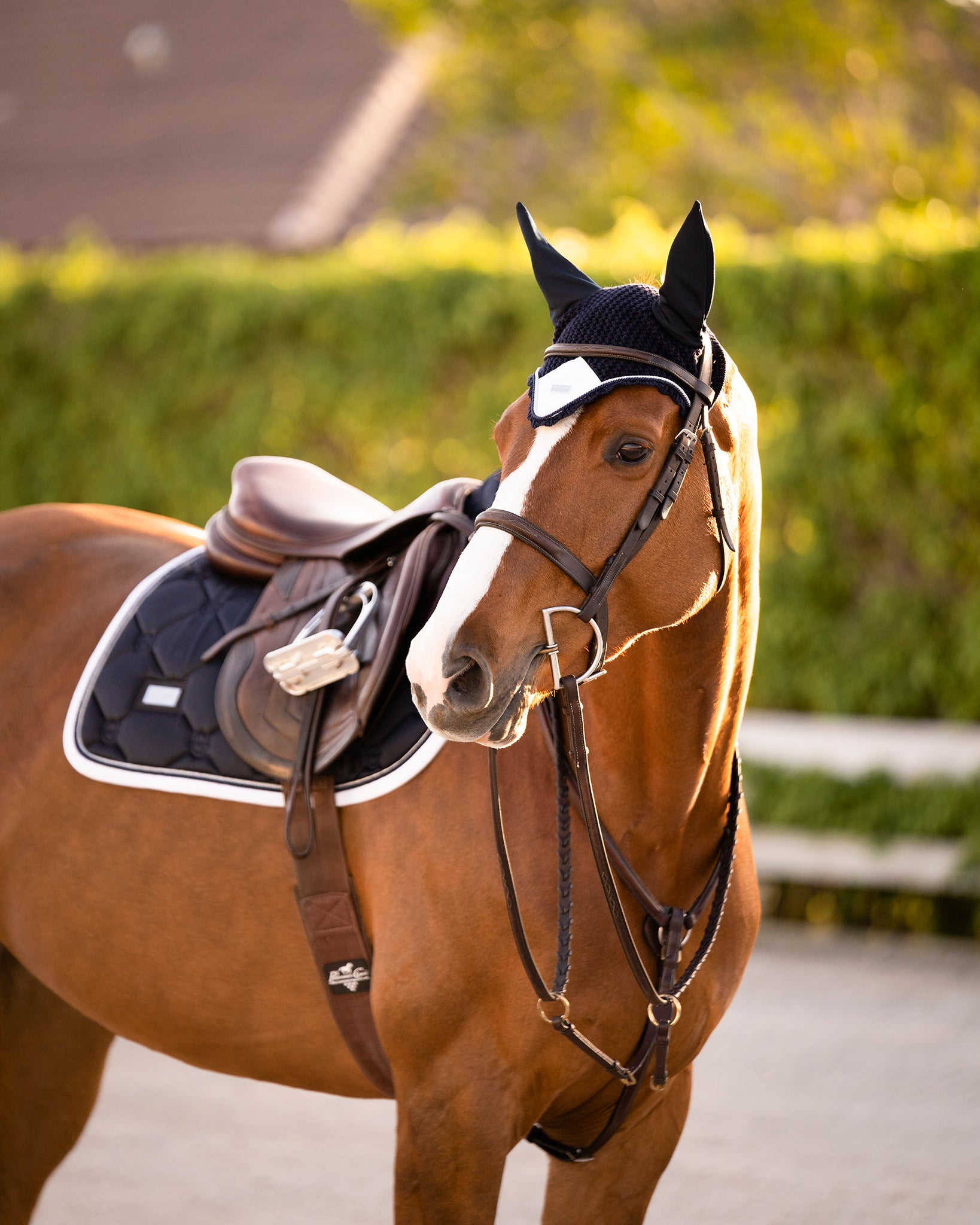 Jump Saddle Pad Midnight White Edge – Equestrian Stockholm
