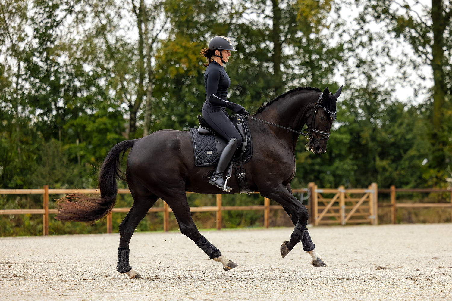 Dressage Saddle Pad Modern Black