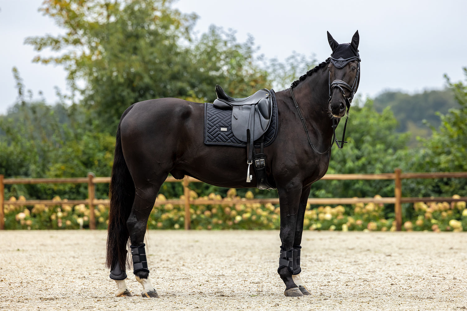 Dressage Saddle Pad Modern Black