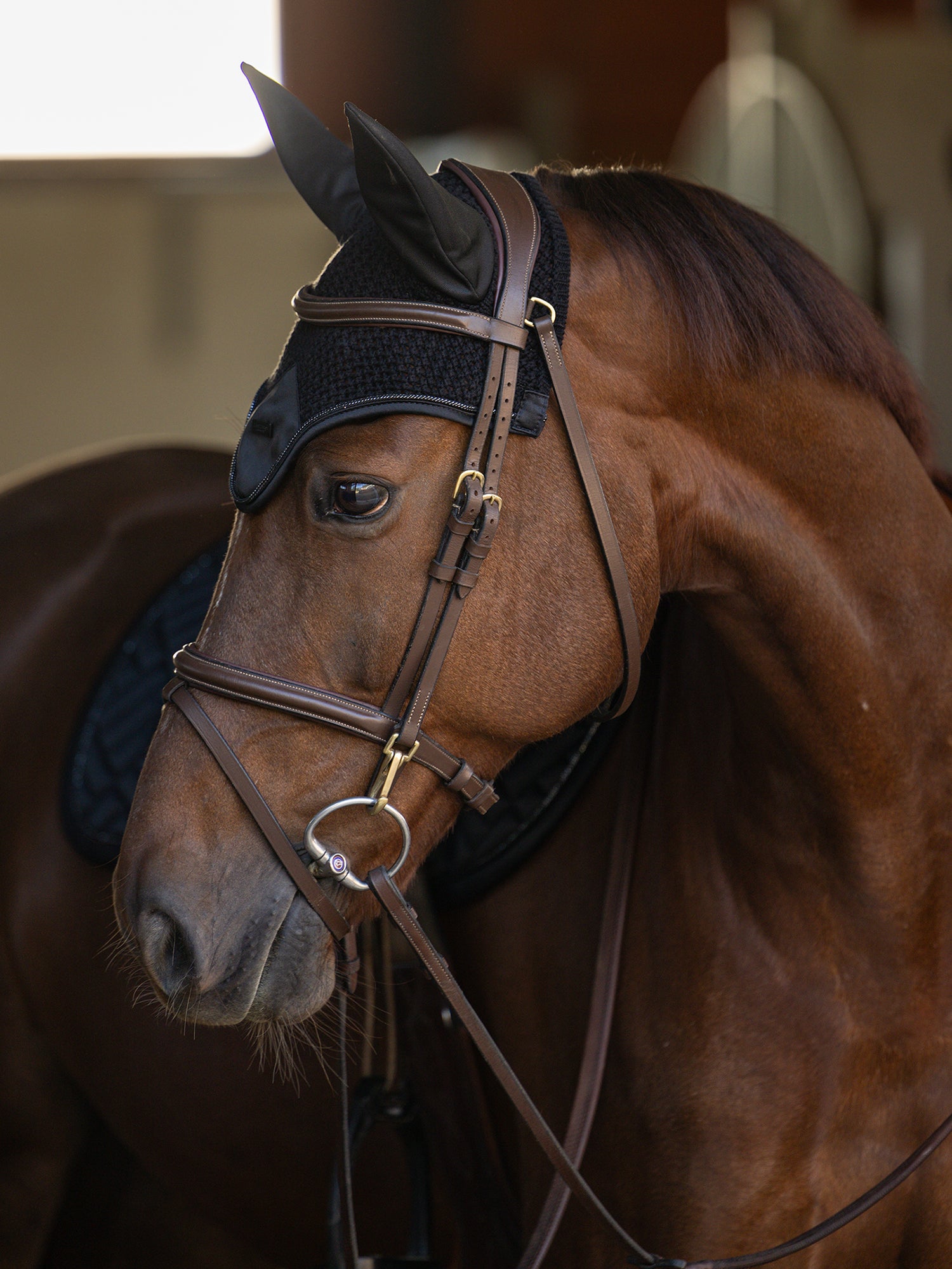 Fliegenhaube Modern Black