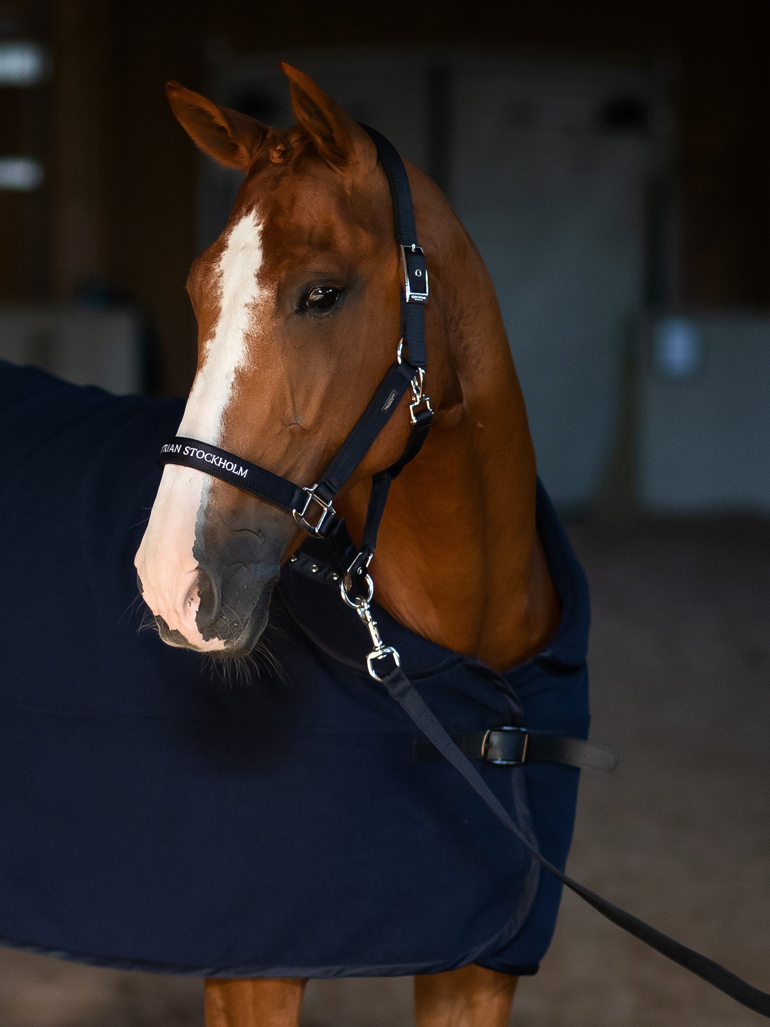 Clean Halter Modern Tech Navy